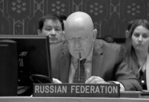 Nebenzia explicó cómo acercar una solución diplomática a la cuestión de Corea del Norte