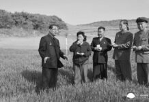 RPDC. Situación agrícola de varias provincias