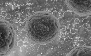 Hallan un compuesto orgánico simple que despierta las defensas contra el cáncer