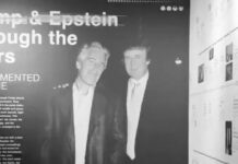 Magna exposición sobre Epstein y Trump abre sus puertas