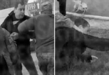 Reclutadores ucranianos rocían con gas pimienta a una anciana durante la movilización forzosa de un hombre