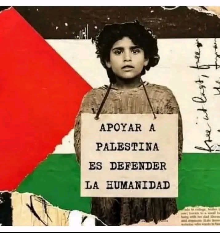 La causa palestina no es una disputa sectorial, sino el espejo donde se mide la catadura ética de nuestra civilización.