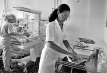 Presidente destacó distinción de OMS a Cuba en salud materno-infantil