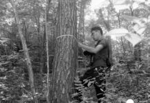 RPDC. Esfuerzos por proteger la biodiversidad del país