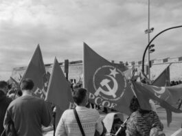 La importancia de fortalecer al PCOE