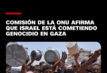 Gaza: el genocidio que occidente decidió no ver.
