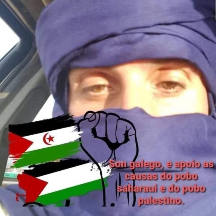 FB_IMG_1780593480819
