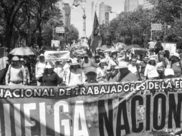 Declaración del XX Pleno del Comité Central del PCV en solidaridad con la huelga nacional de las y los trabajadores de la educación en México