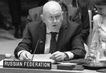 Nebenzia: Rusia no permitirá que el Consejo de Seguridad de la ONU tome medidas contra Irán
