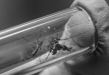 Los experimentos bacteriológicos de los Estados Unidos