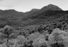 En defensa de nuestra riqueza ambiental colectiva: Sierra Espuña no se toca