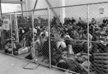 La organización de la caza de los seres humanos empieza por los de abajo