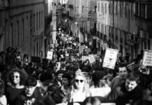 Organizarse y luchar para avanzar y vencer. Por el socialismo.