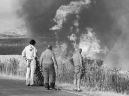 La Unión Europea prohíbe utilizar helicópteros rusos para extinguir los incendios
