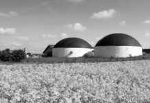 La Guerra de Ucrania impulsa la industria del biogás en España