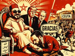 O eixo do oprobio: cando a ultradereita volve axeonllarse ante o amo.