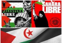 Palestina y Sáhara: la misma cadena, dos eslabones.