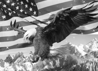 La crisis del capitalismo y la estrategia de Trump El pollo yanqui