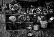 Llega a Chile “Anatomía de un genocidio”, exposición sobre Palestina