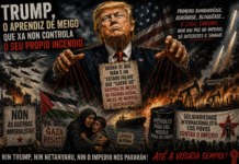 Trump, o aprendiz de meigo que xa non controla o seu propio incendio