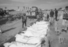 La complicidad de Alemania en el genocidio de Gaza: el 7 de septiembre comienza el juicio