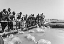 Burkina Faso instala piscifactorías para reforzar su soberanía alimentaria