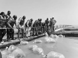 Burkina Faso instala piscifactorías para reforzar su soberanía alimentaria