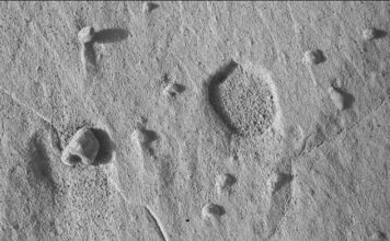La NASA halla un insólito rompecabezas en la superficie de Marte
