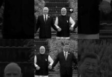 BRICS siembran árboles por la unidad