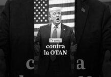 Donald Trump: ¿Por qué demonios ayudamos a la OTAN?
