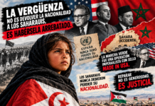 La vergüenza no es devolver la nacionalidad a los saharauis, es habérsela arrebatado