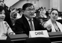 China impulsa en ONU documento sobre accesibilidad y derechos humanos